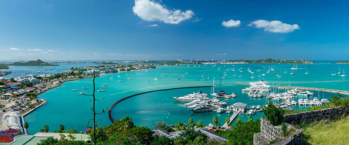 A marina with numerous boats, a coastal town, and a clear blue sky.
