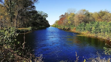 Peaceful Sunday Morning