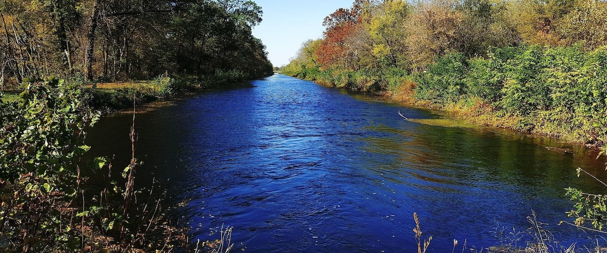 A river flanked by dense trees and greenery.