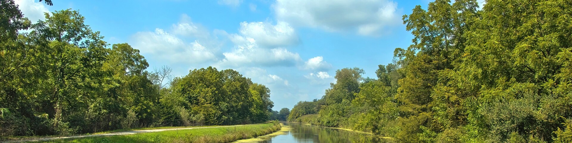 Rio calmo ladeado por vegetação densa e céu azul claro com nuvens esparsas.