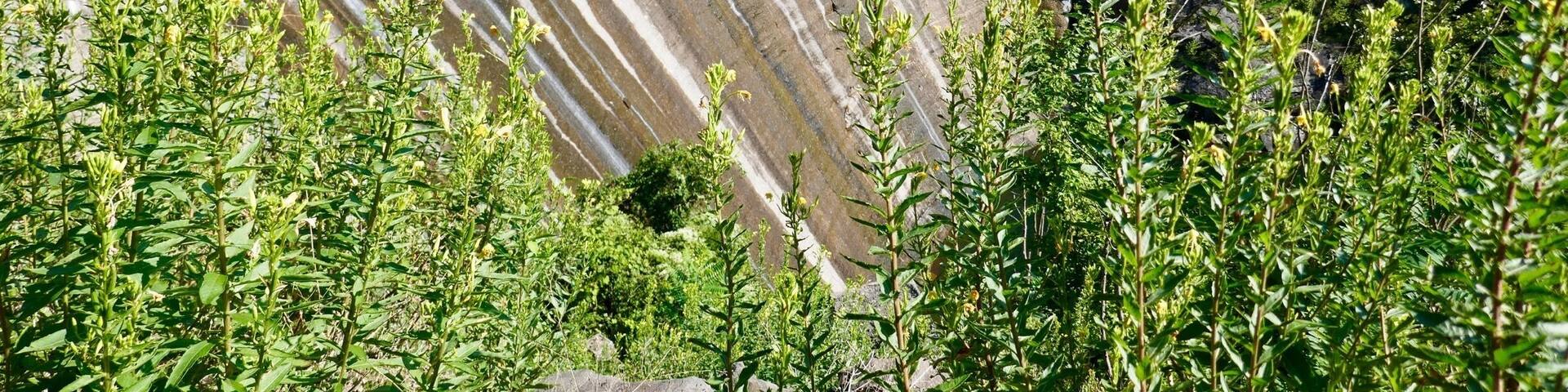 A large dam with multiple spillways, surrounded by greenery and rocky terrain.