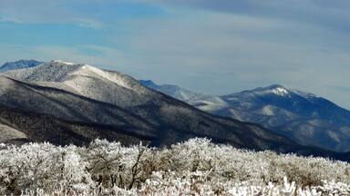 #mountains. Wintertime on Gregory Bald. Great Smoky Mountains National Forest.