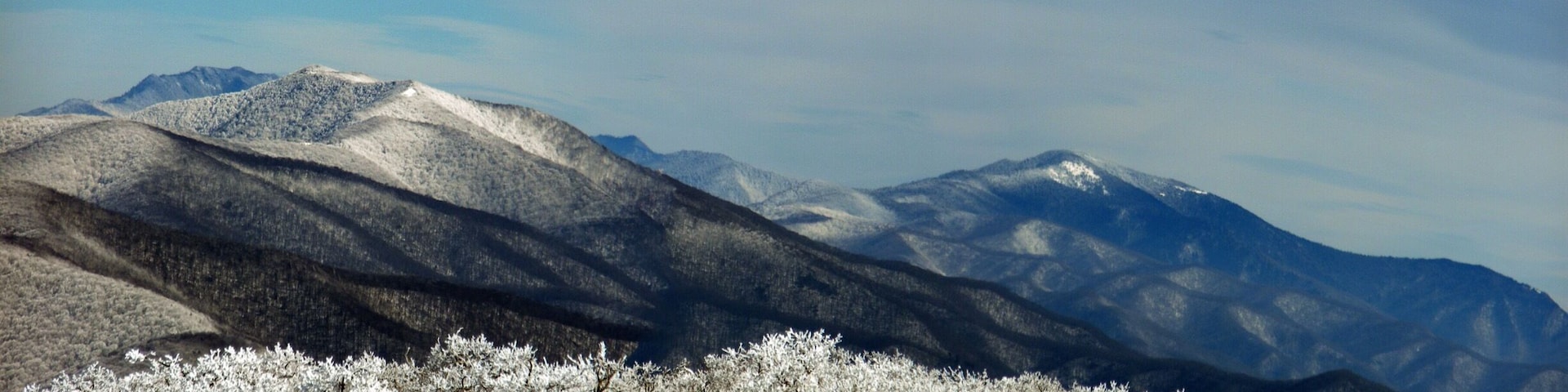 #mountains. Wintertime on Gregory Bald.  Great Smoky Mountains National Forest.