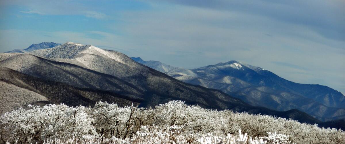 #mountains. Wintertime on Gregory Bald. Great Smoky Mountains National Forest.