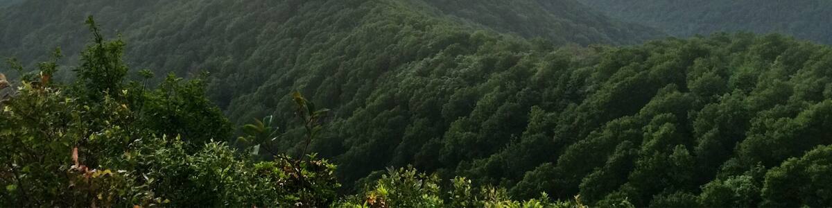 On August 21st, one week from today, Hangover Lead will experience 2+ minutes of total darkness during the Solar Eclipse. I can't think of any other place I'd rather be.