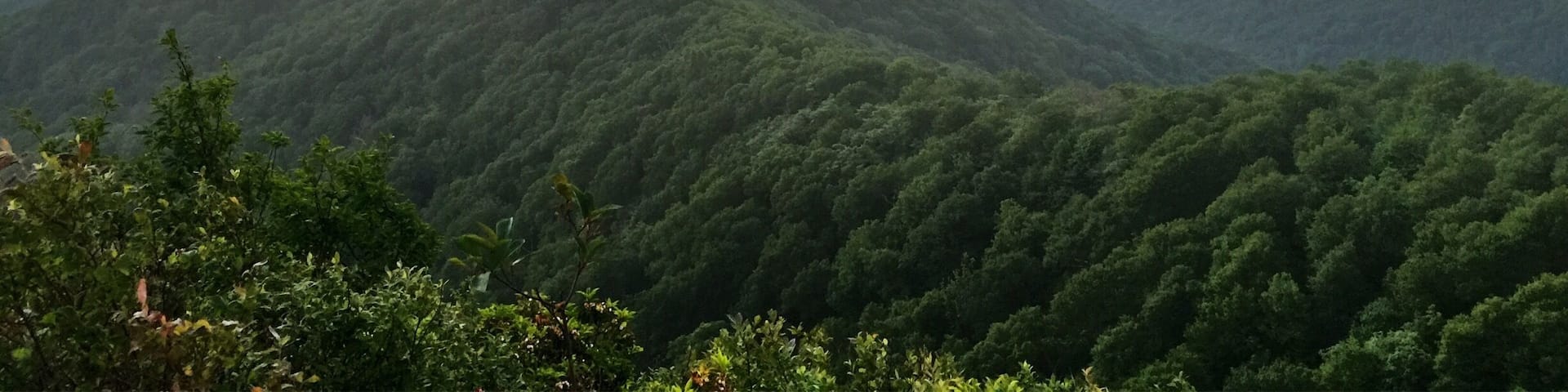 On August 21st, one week from today, Hangover Lead will experience 2+ minutes of total darkness during the Solar Eclipse. I can't think of any other place I'd rather be.