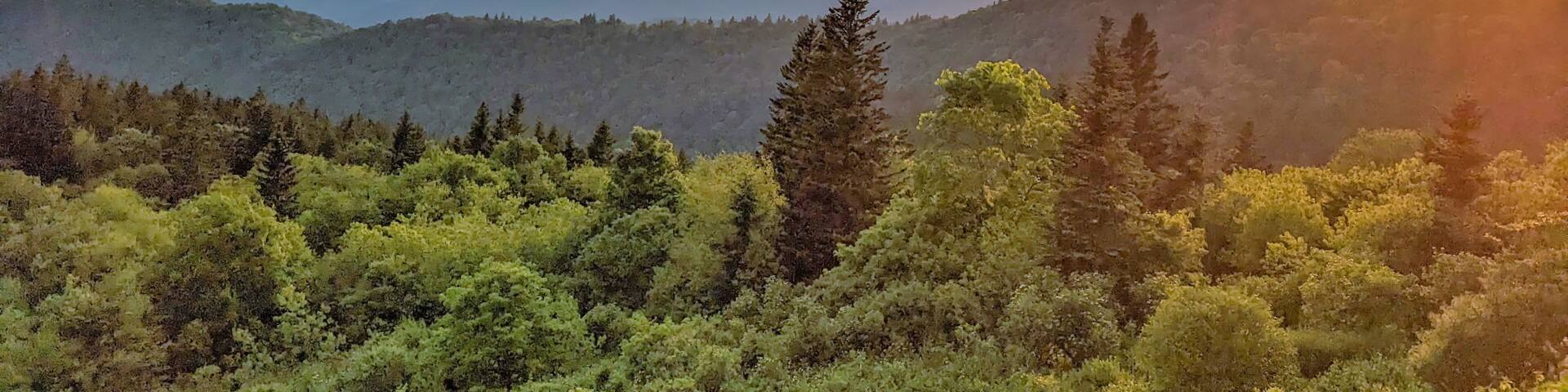 Blue Ridge Parkway Spring Smoky Mountains