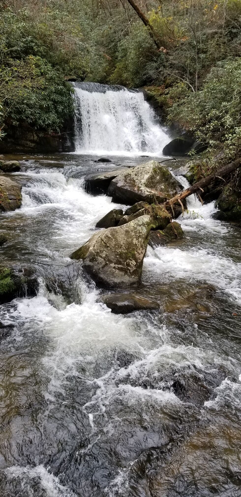 Short hike to this 25ft beauty 
#nature