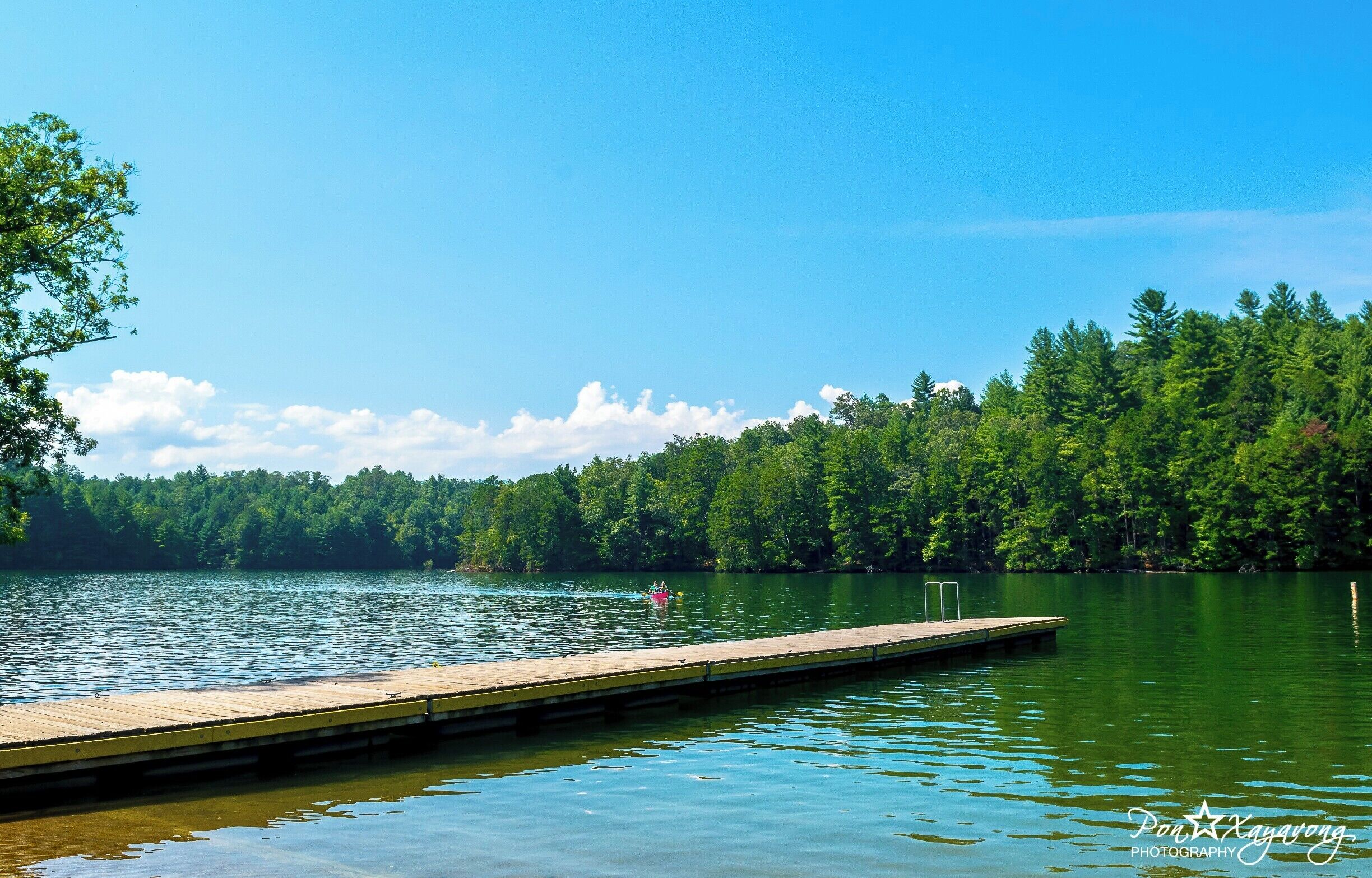 A lake with a wooden dock extending into the water, surrounded by dense green forest.