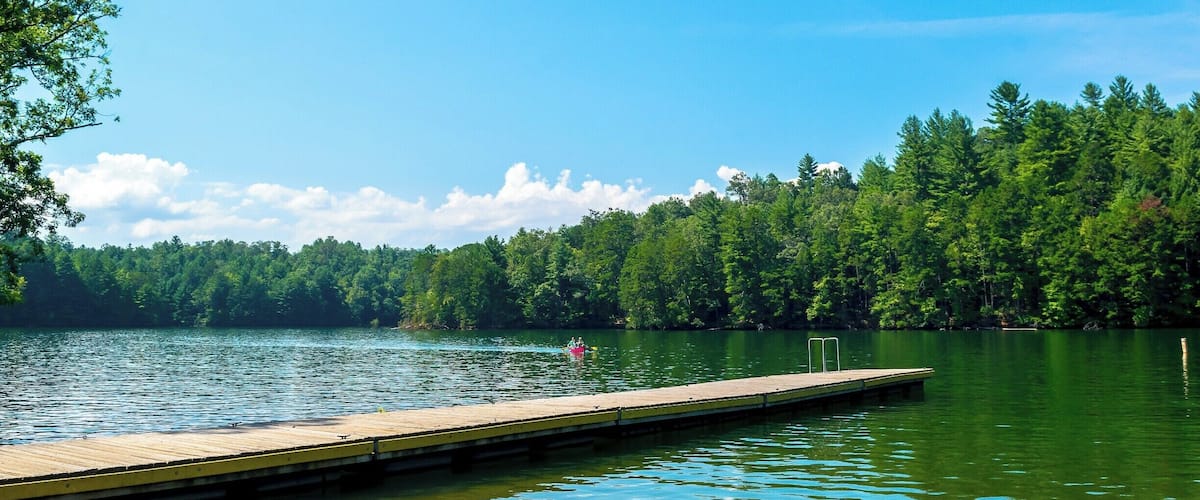 A lake with a wooden dock extending into the water, surrounded by dense green forest.
