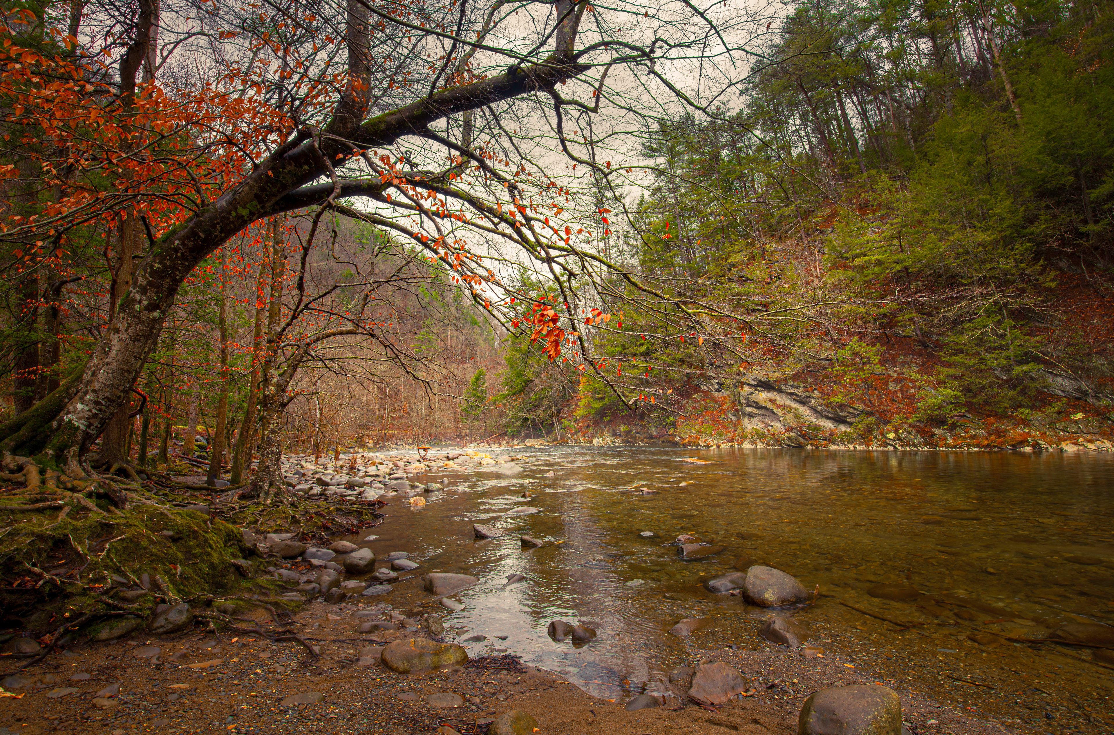 Peaceful scene along a river at the Great Smoky Mountains National Park
