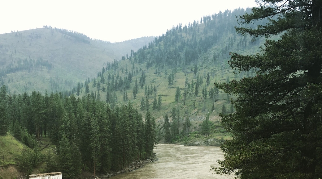 West of Missoula, MT runs the Clark Fork. Young pines with green mountainside. The West....