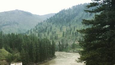 West of Missoula, MT runs the Clark Fork. Young pines with green mountainside. The West....