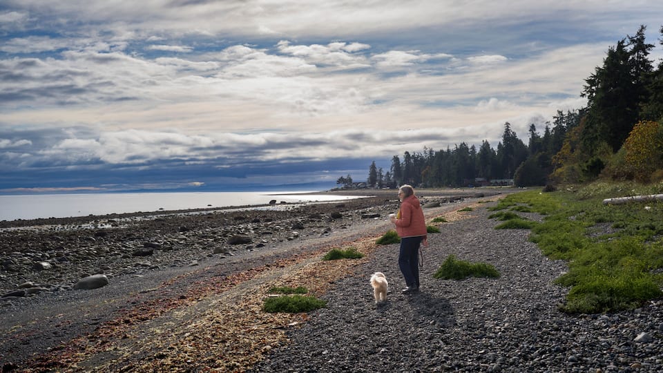 A rocky shoreline with a dog, a person, and a forest in the background.