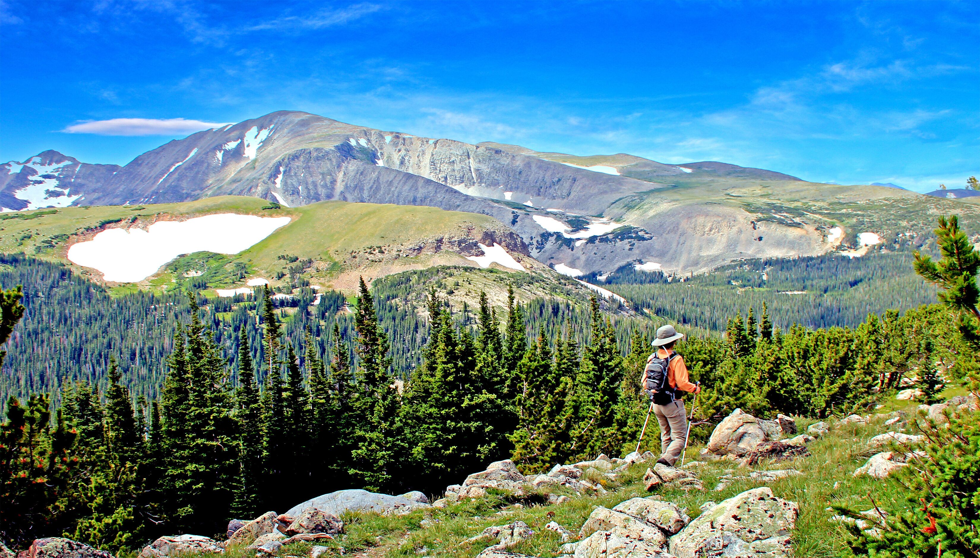 Hiker on the Niwot Ridge Trail in Colorado's Indian Peaks Wilderness near Boulder.