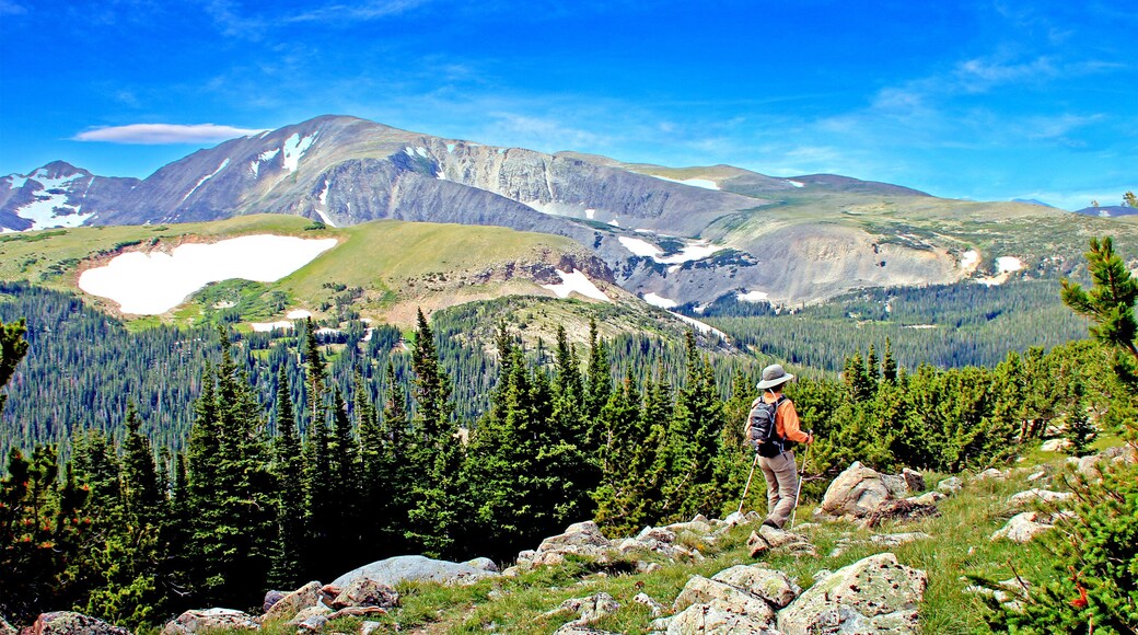 Hiker on the Niwot Ridge Trail in Colorado's Indian Peaks Wilderness near Boulder.