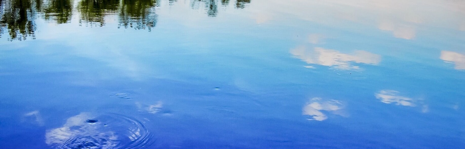 There is a Seminole guide that will take you out on his airboat tour and can call alligators right to the boat. He will also let you drive the airboat.