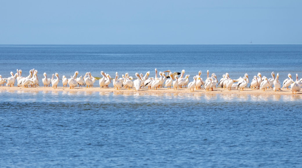 Everglades City