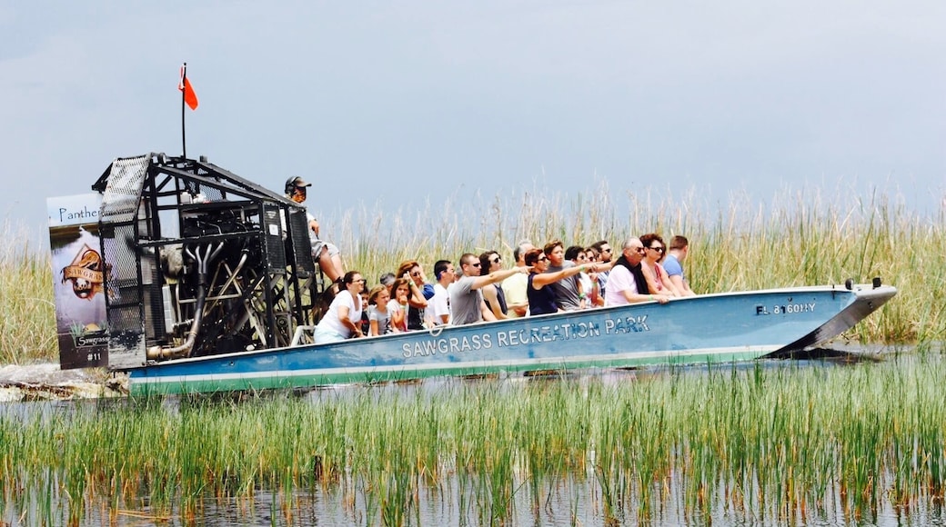 Exploring the 3rd largest National Park in the US, The Everglades...