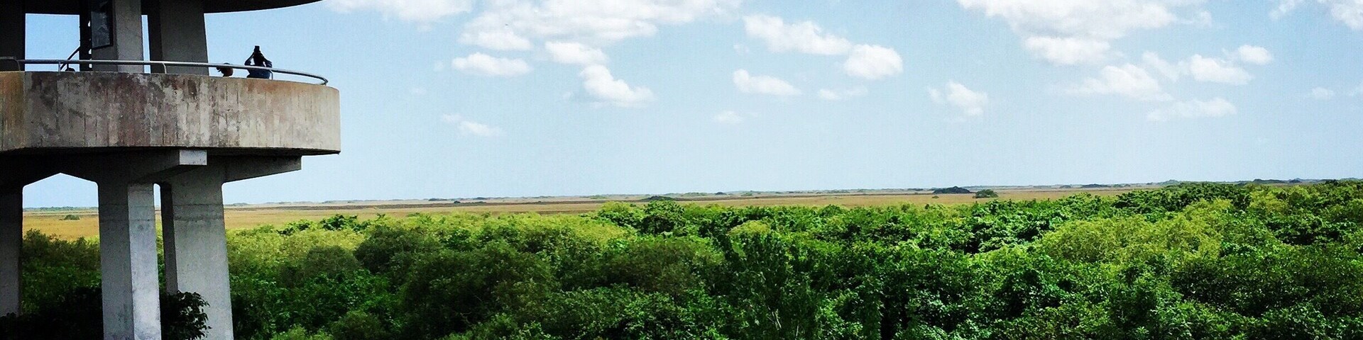 Shark Valley observation tower in the Everglades. You can bike or walk the 15 mile loop, or you can take the tram tours. I went during the dry season, but it was still beautiful.