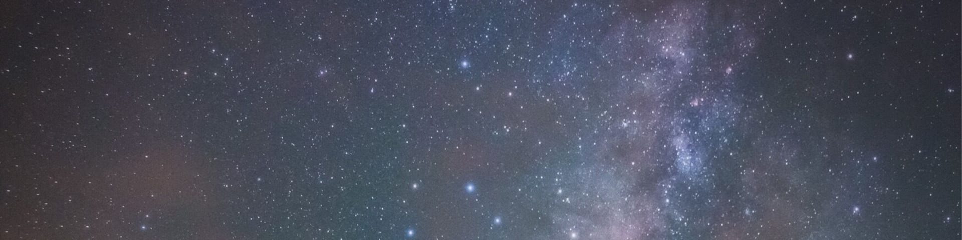 Mangrove under the Milky Way.
#beachtips #nature
