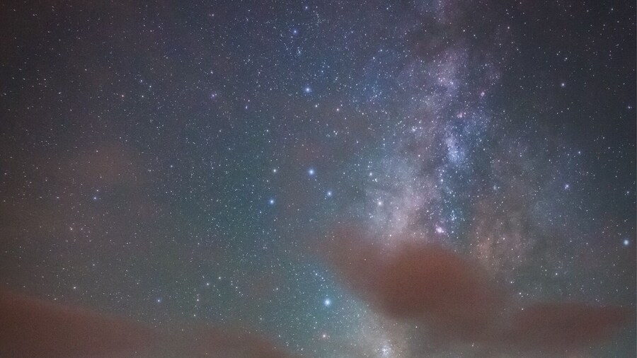 Mangrove under the Milky Way.
#beachtips #nature