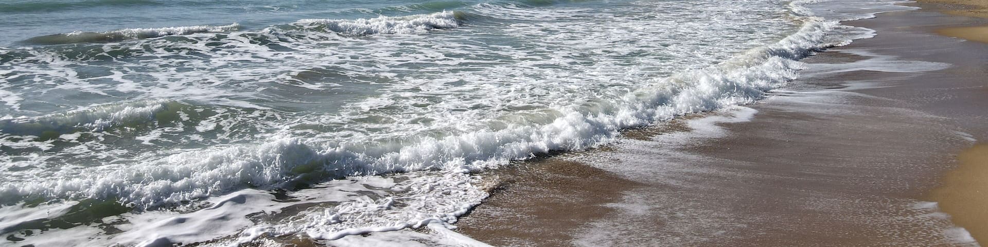 waves on the beach
