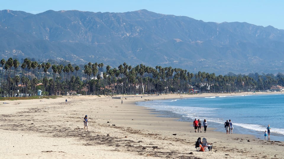 A beach with palm trees, people walking, and mountains in the background.