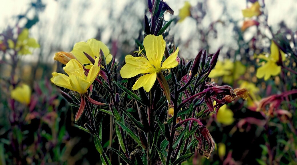 Great bird watching (not pictured).