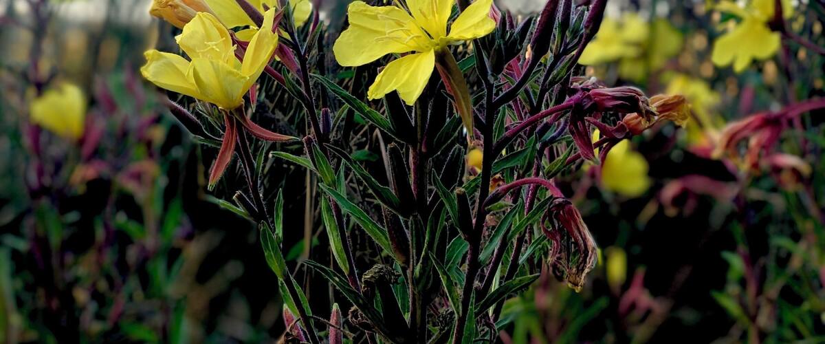 Great bird watching (not pictured).