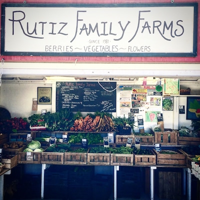 All organic, pesticide free.