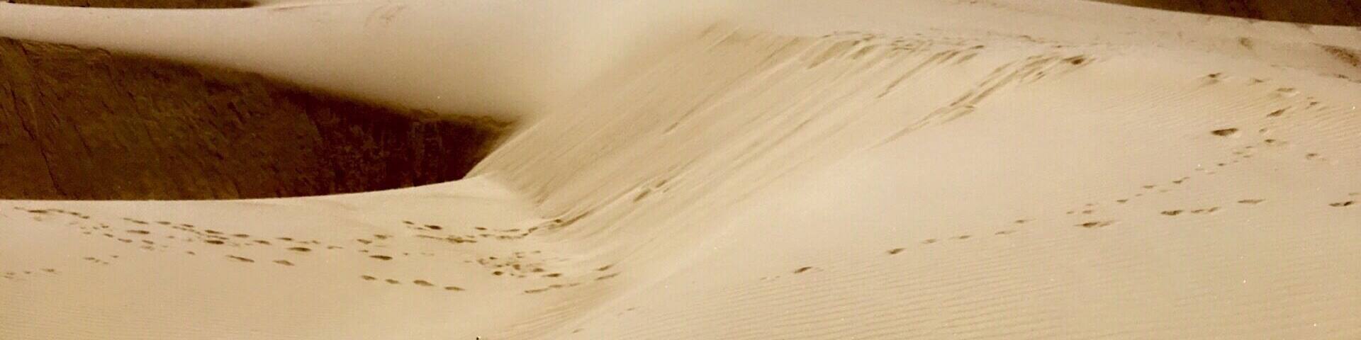A desert landscape with sand dunes under a clear blue sky.