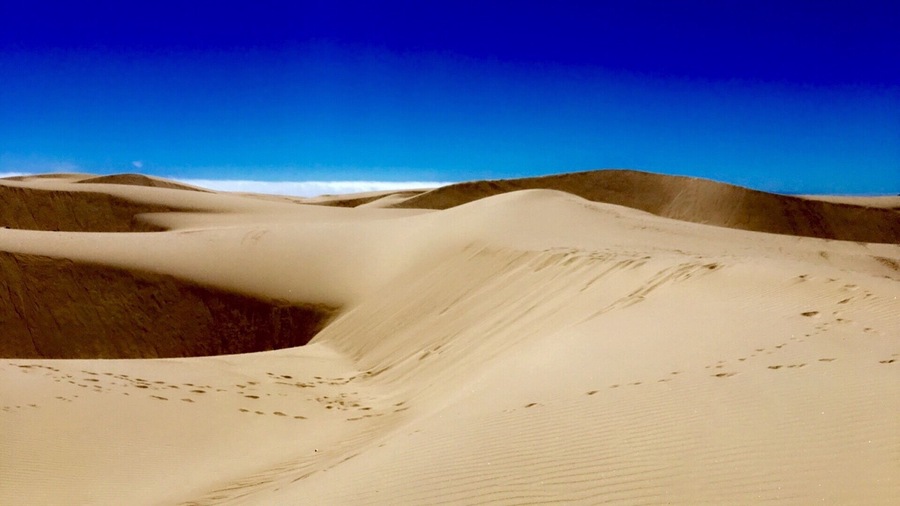 Walking through the Dunes brings so much Peace to Your Soul, I went so many times to Pismo and once you walk into the Dunes you feel into another part of the world on just couple seconds! Enjoy!