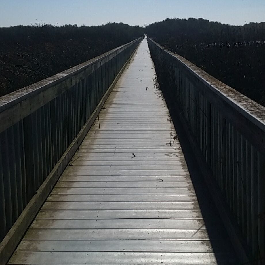 The path across a "lake" and to the ocean. Just beautiful. 