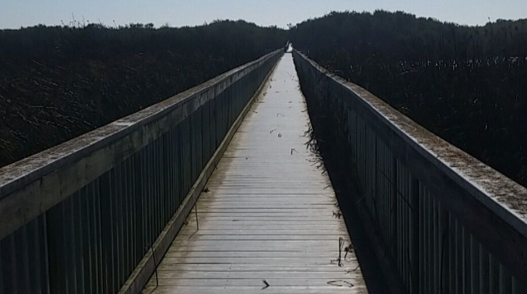 The path across a "lake" and to the ocean. Just beautiful.