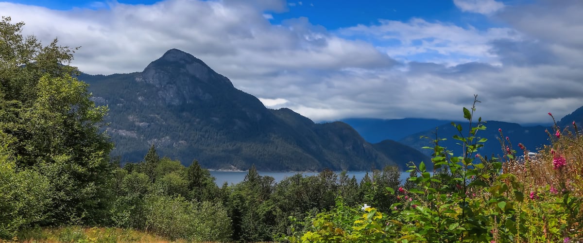 A mountain landscape with a lake and dense forest.