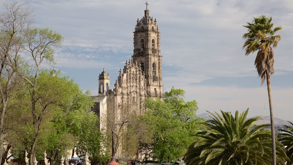 A historic cathedral with intricate architecture, surrounded by lush greenery and palm trees.