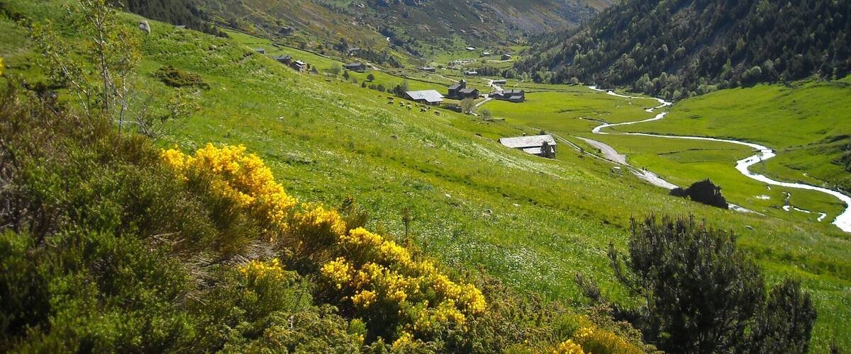 A valley with a river, green hills, and a mountain range.