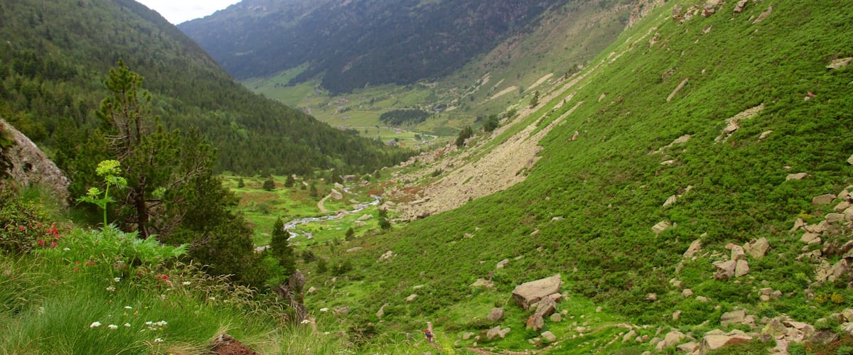 Soldeu montrant montagnes, scĂšnes forestiĂšres et scĂšnes tranquilles