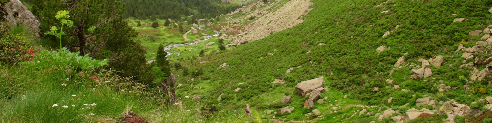 Soldeu showing mountains, tranquil scenes and forests