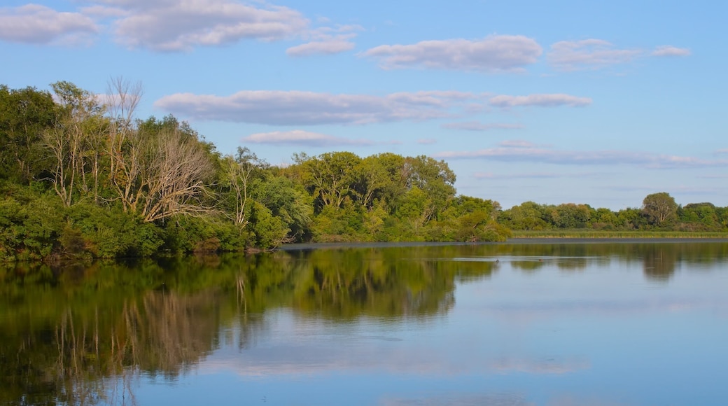 Rock Cut State Park Lake in Illinois