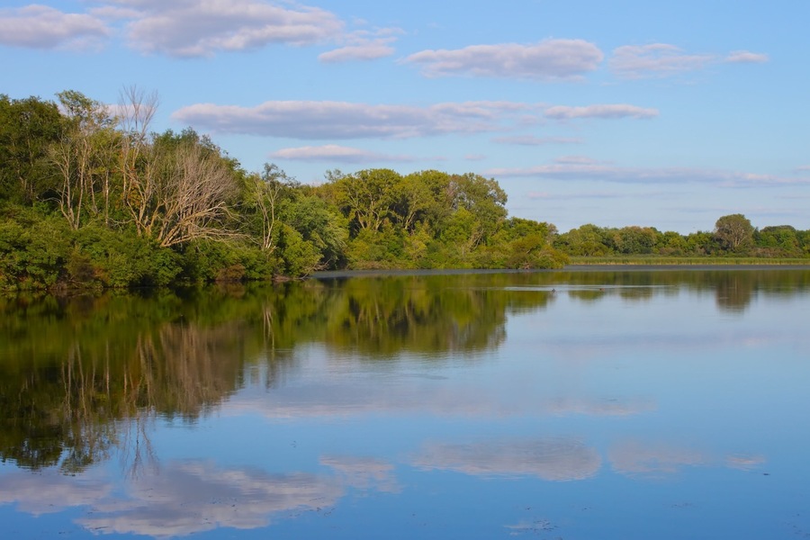 Rock Cut State Park Lake in Illinois