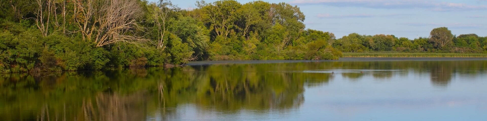 Rock Cut State Park Lake in Illinois