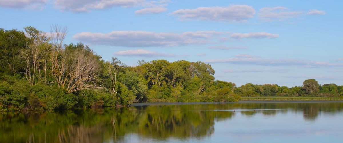 A calm lake surrounded by dense green foliage and trees under a clear sky.