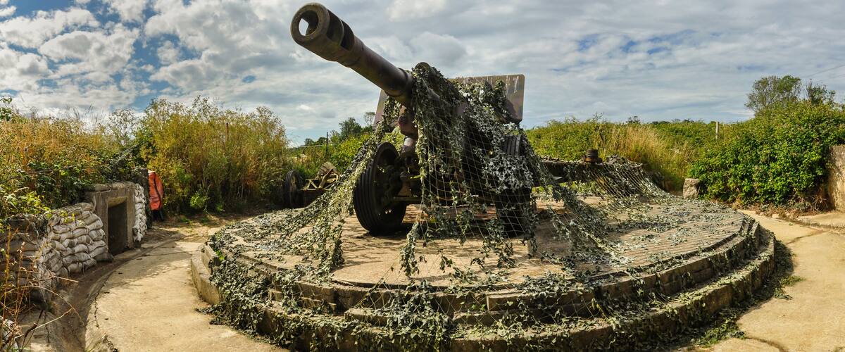 A large artillery piece surrounded by overgrown vegetation.