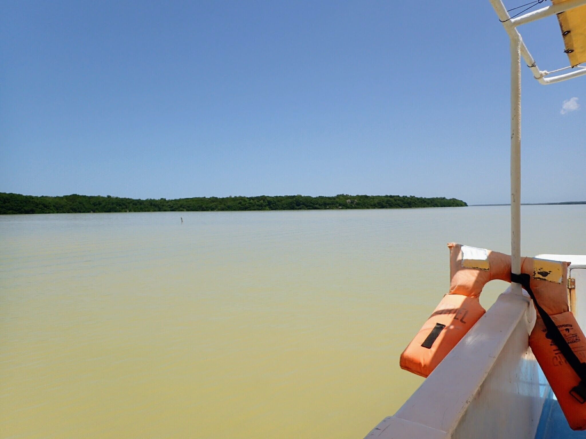 A tour to the Flamingos of Celestún

It's a very popular spot and absurdly it's cheaper if you're 6 people or more than if you're alone. So make sure to find other people before (!) buying the ticket!
