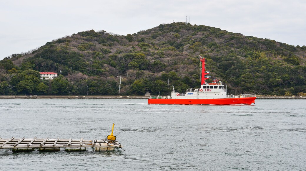 Toba