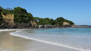 Shima-Toba National Park: Japan’s Scenic Blend of Sea and Landscape