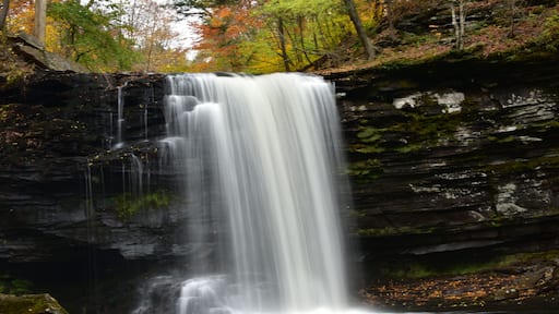 Harrison Wright Falls