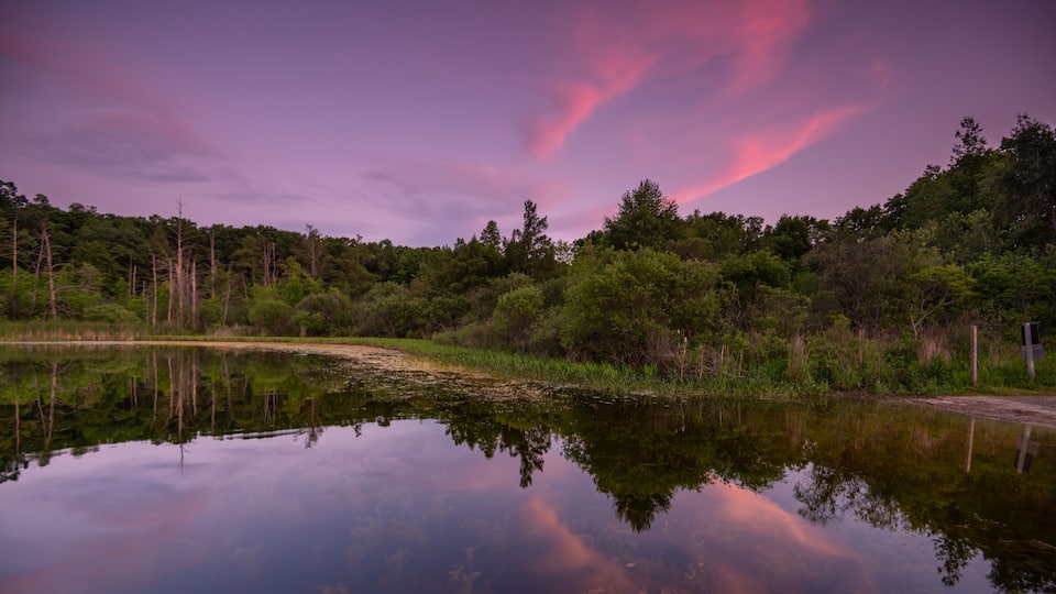 A calm lake reflecting trees and a purple sky.